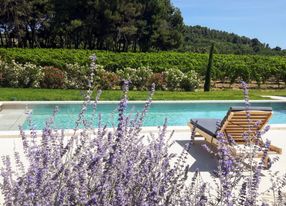 Mediterranean garden of a wine estate in Provence with swimming pool