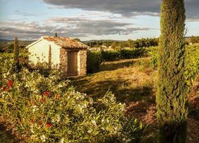 Mediterranean garden of a wine estate in Provence with swimming pool