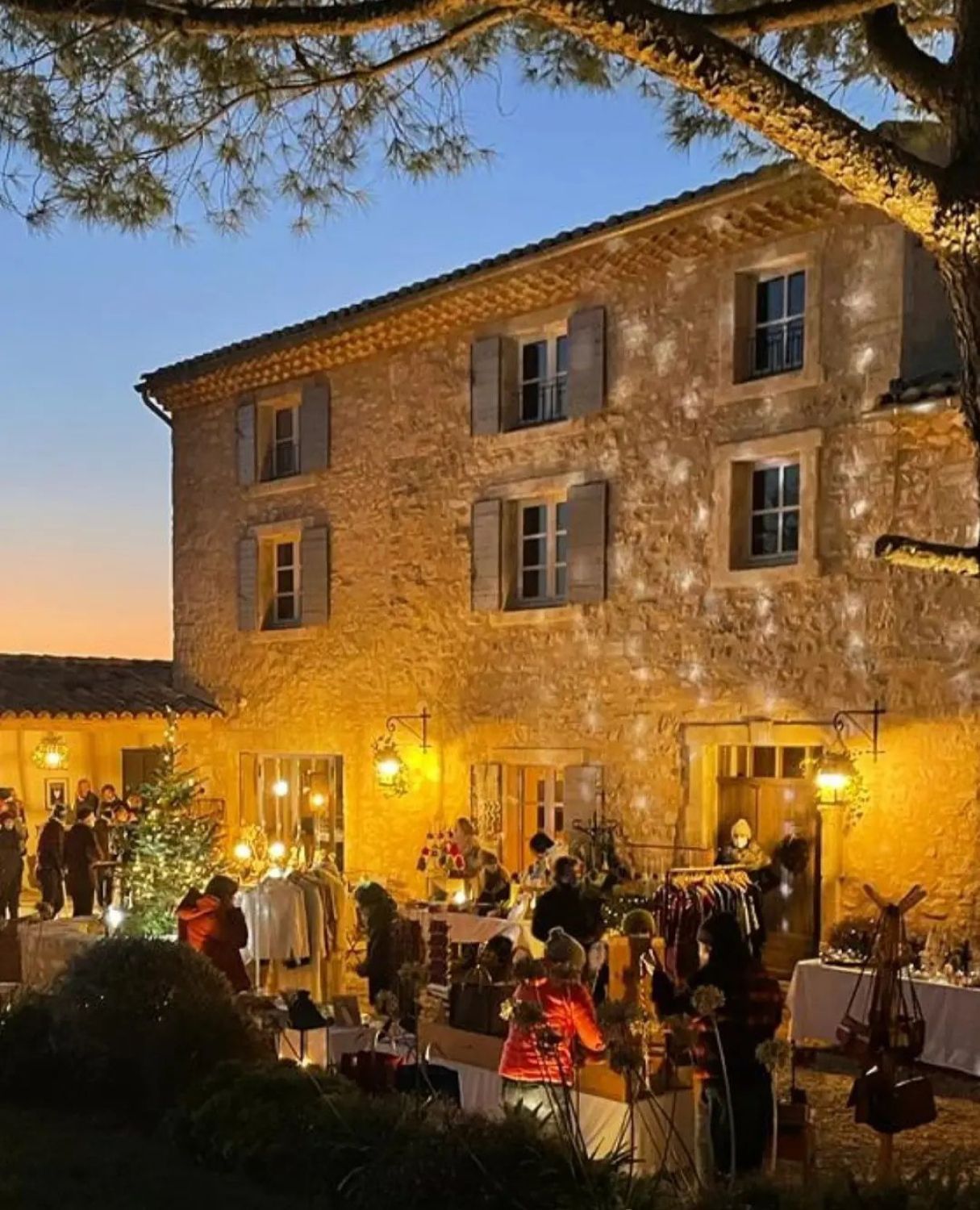 Mediterranean garden of a wine estate in Provence with swimming pool