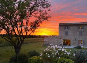 Mediterranean garden of a wine estate in Provence with swimming pool