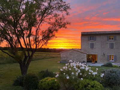 Mediterranean garden of a wine estate in Provence with swimming pool