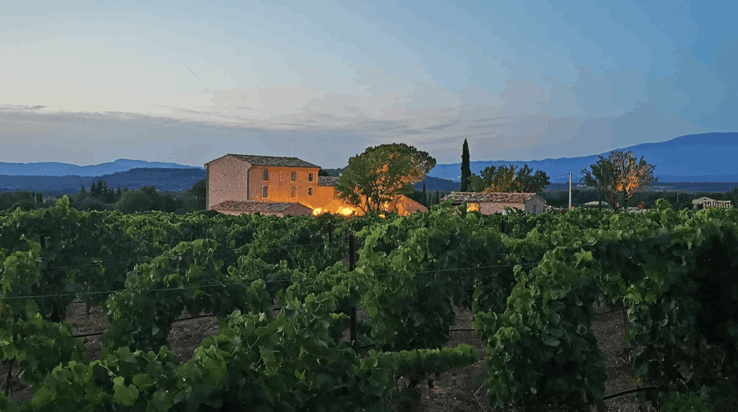 Mediterranean garden of a wine estate in Provence with swimming pool