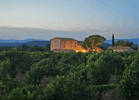 Mediterranean garden of a wine estate in Provence with swimming pool