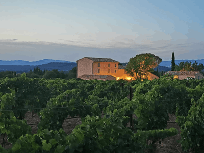 Mediterranean garden of a wine estate in Provence with swimming pool