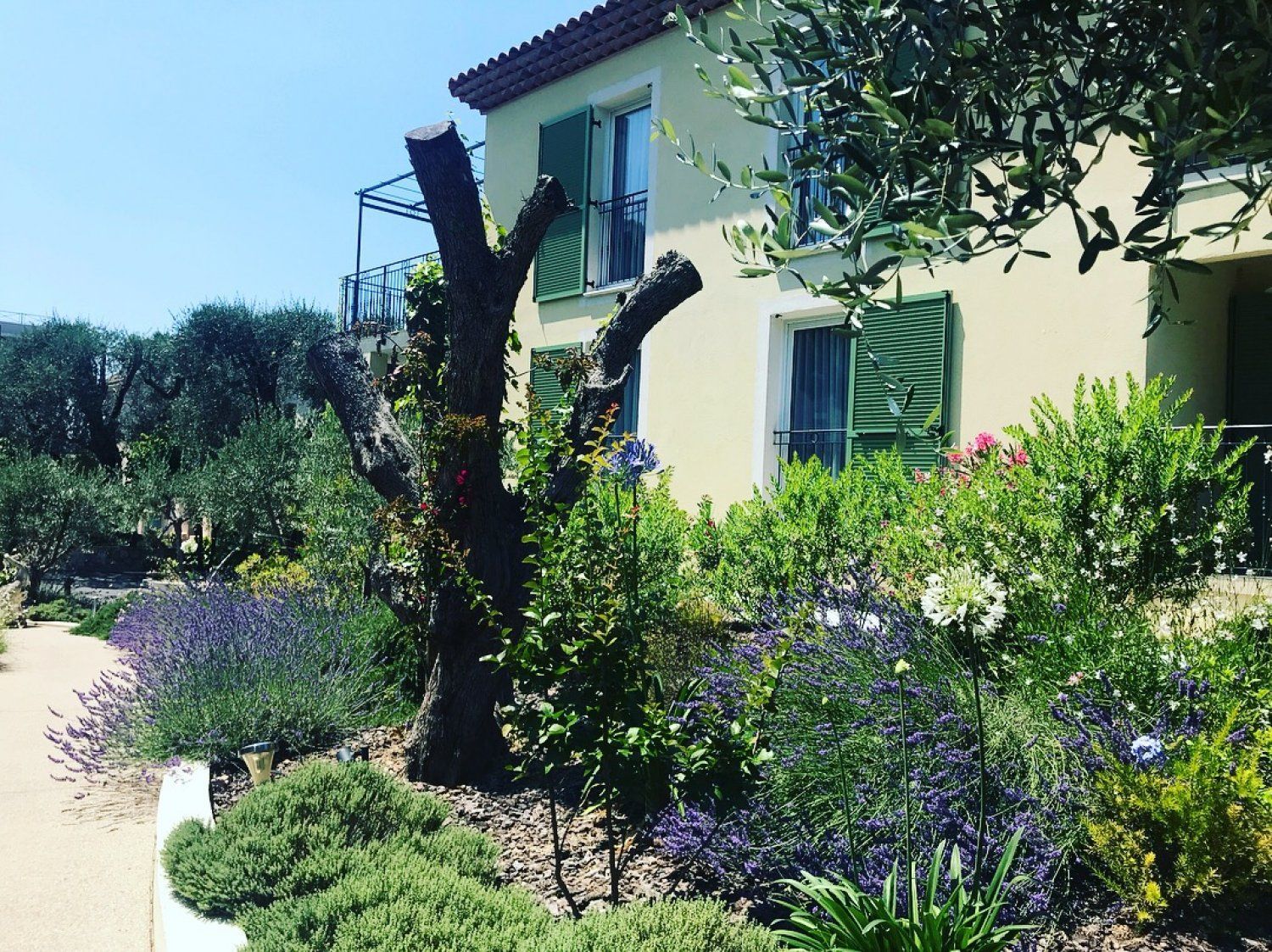 Bastide provençale pour les événements professionnelles près de Cannes - Idéal pour les offsites et les réunions d'entreprise