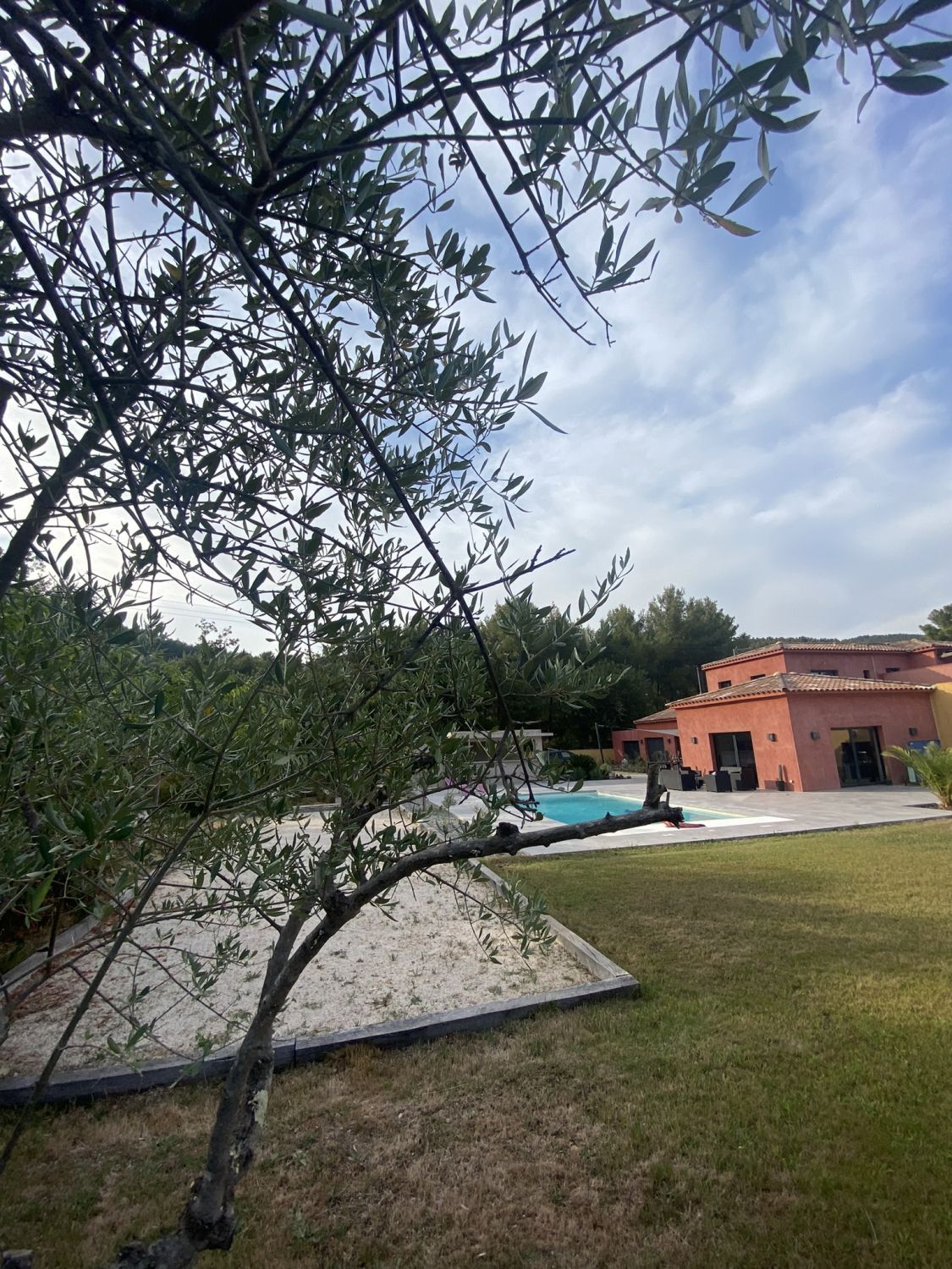 Terrace with swimming pool