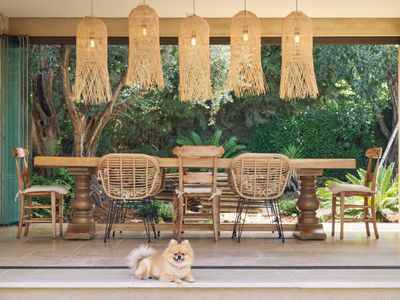 Provencal farmhouse nestling in the heart of an olive grove