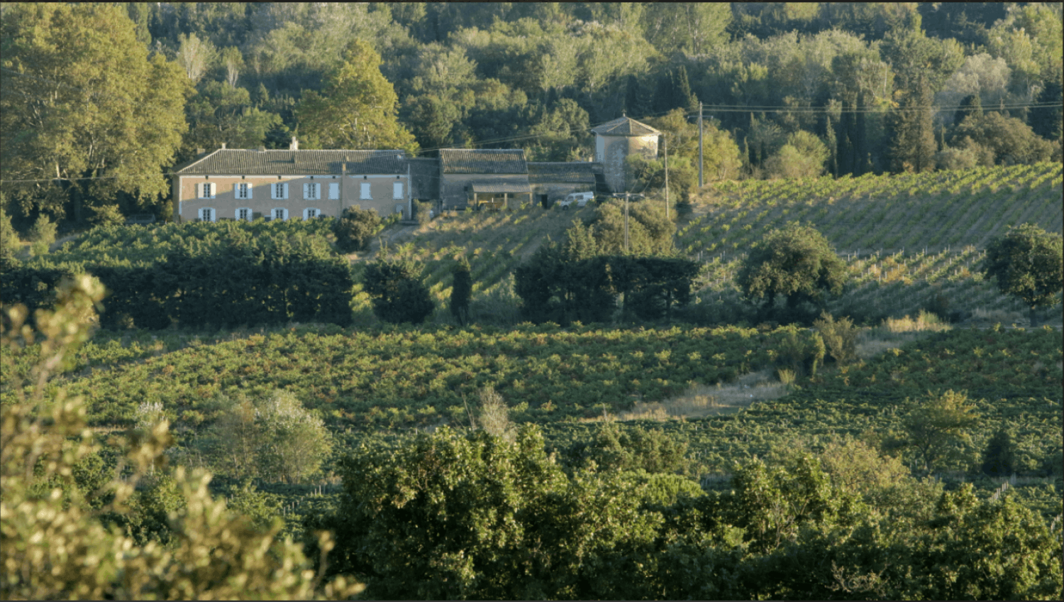 Mas provençal du 18ème siècle avec chapelle et vignes