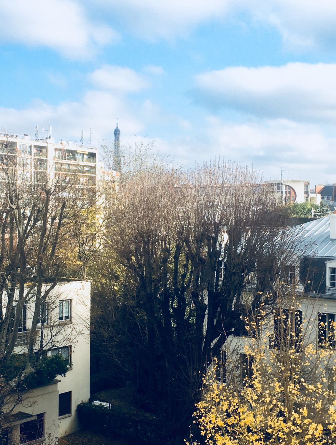 Luxury Duplex with Eiffel Tower View in Paris | Event Venue