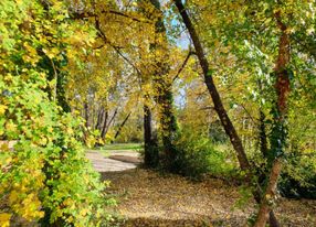 A large plot of land by the river