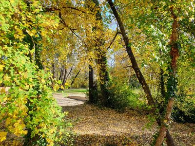 A large plot of land by the river