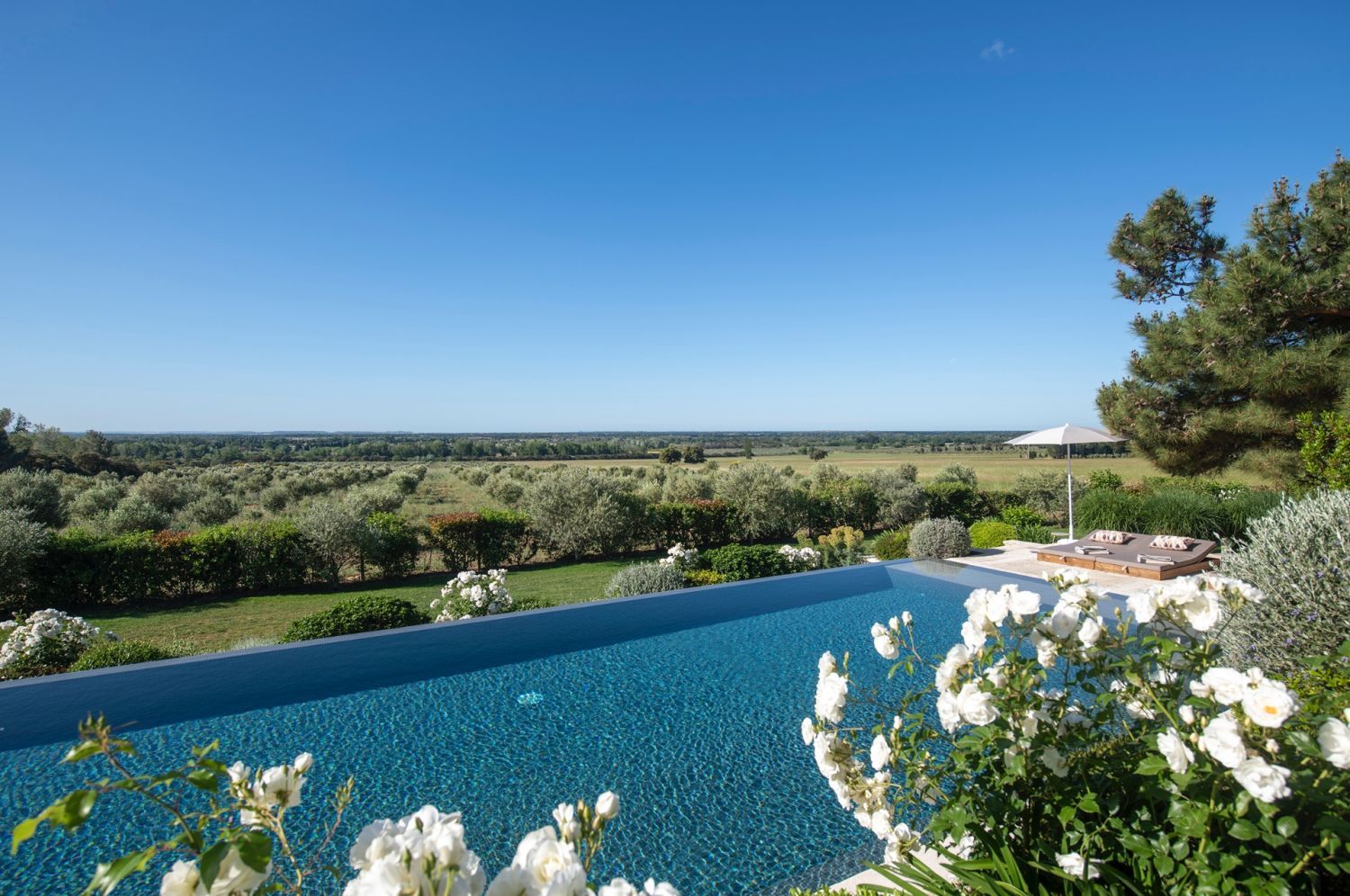 Domaine dans les Alpilles : Salle de Réception au Cœur des Oliviers