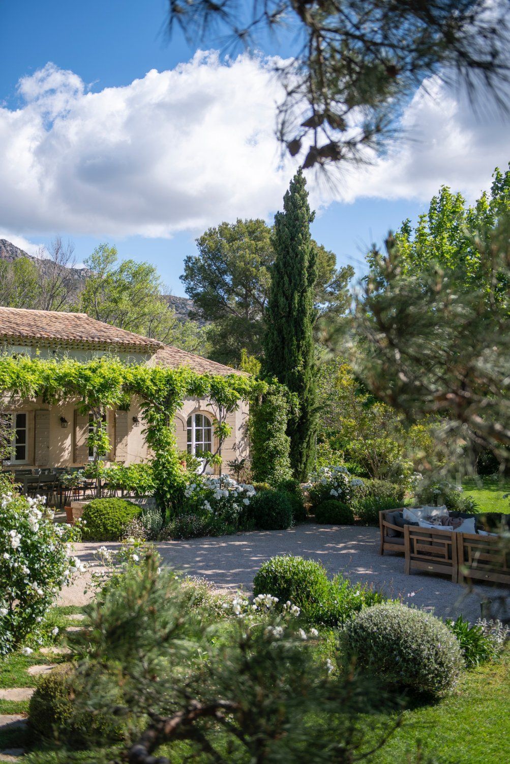 Domaine in Alpilles: Olive Grove Wedding & Event Venue