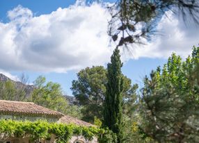 Charming villa in the heart of a 240 hectare olive estate