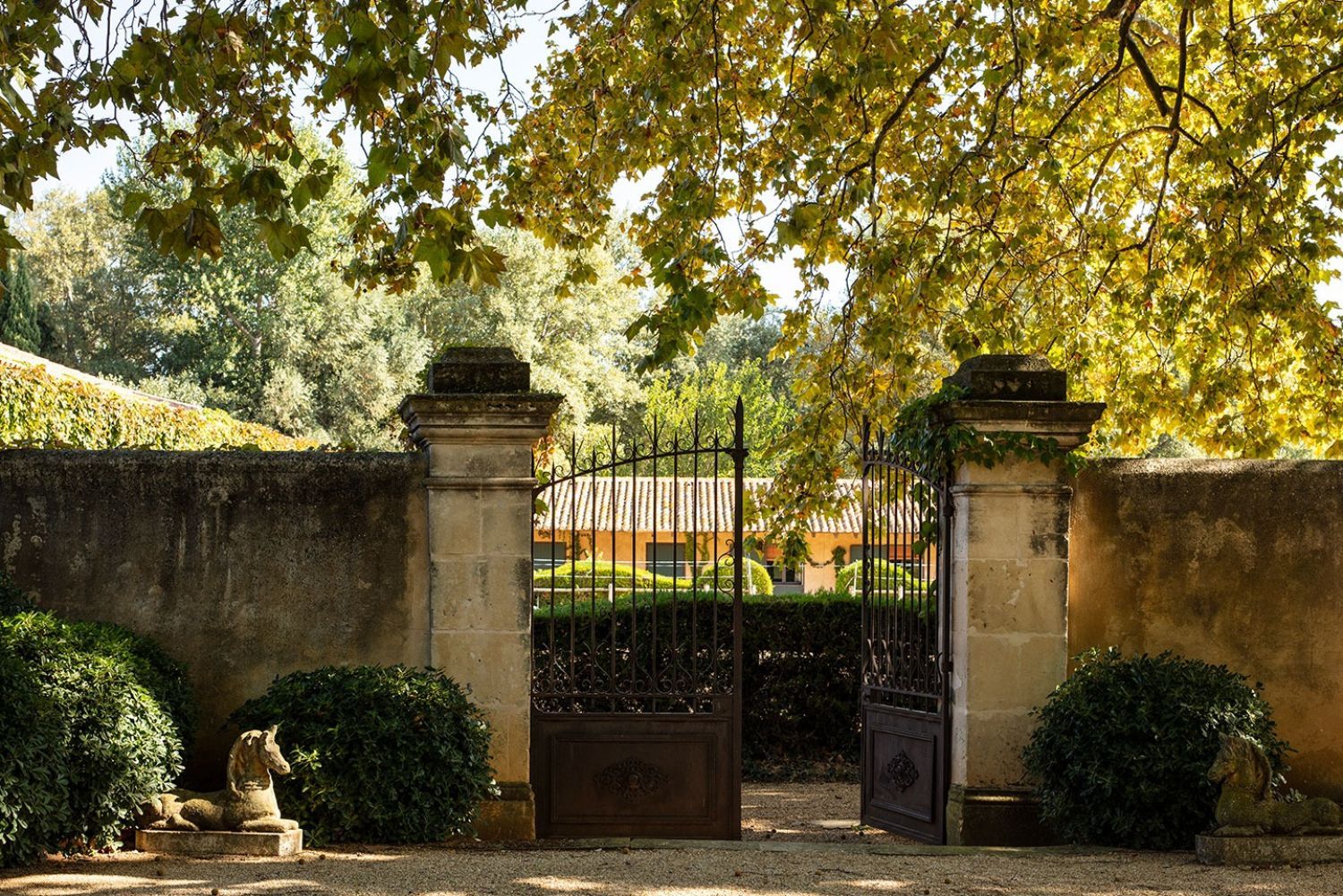Equestrian estate with several luxurious gîtes, a swimming pool and a park 