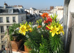 Artists' loft in the Marais, Paris