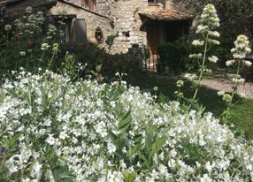 A quiet place old house