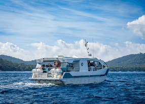 Hybrid boat destination to the Hyères Islands (Porquerolles & Port-Cros) and Fort de Brégançon