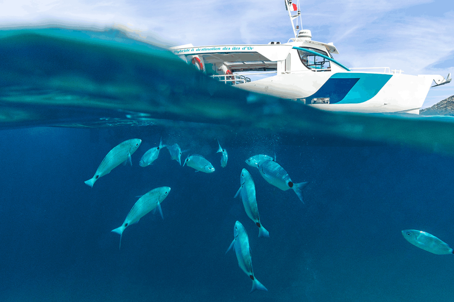 Événements Privés en Bateau Jusqu'à 50 Personnes | Bateau Hybride Écologique