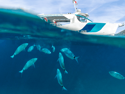 Événements Privés en Bateau Jusqu'à 50 Personnes | Bateau Hybride Écologique