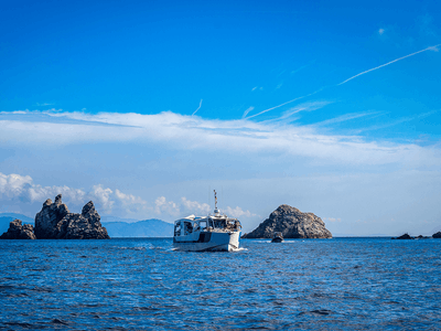 Événements Privés en Bateau Jusqu'à 50 Personnes | Bateau Hybride Écologique