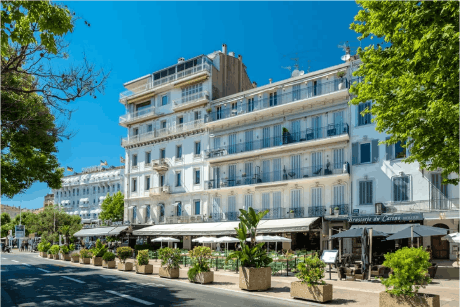 Luxury Apartment Cannes Croisette – 3 Beds, 30 Guests