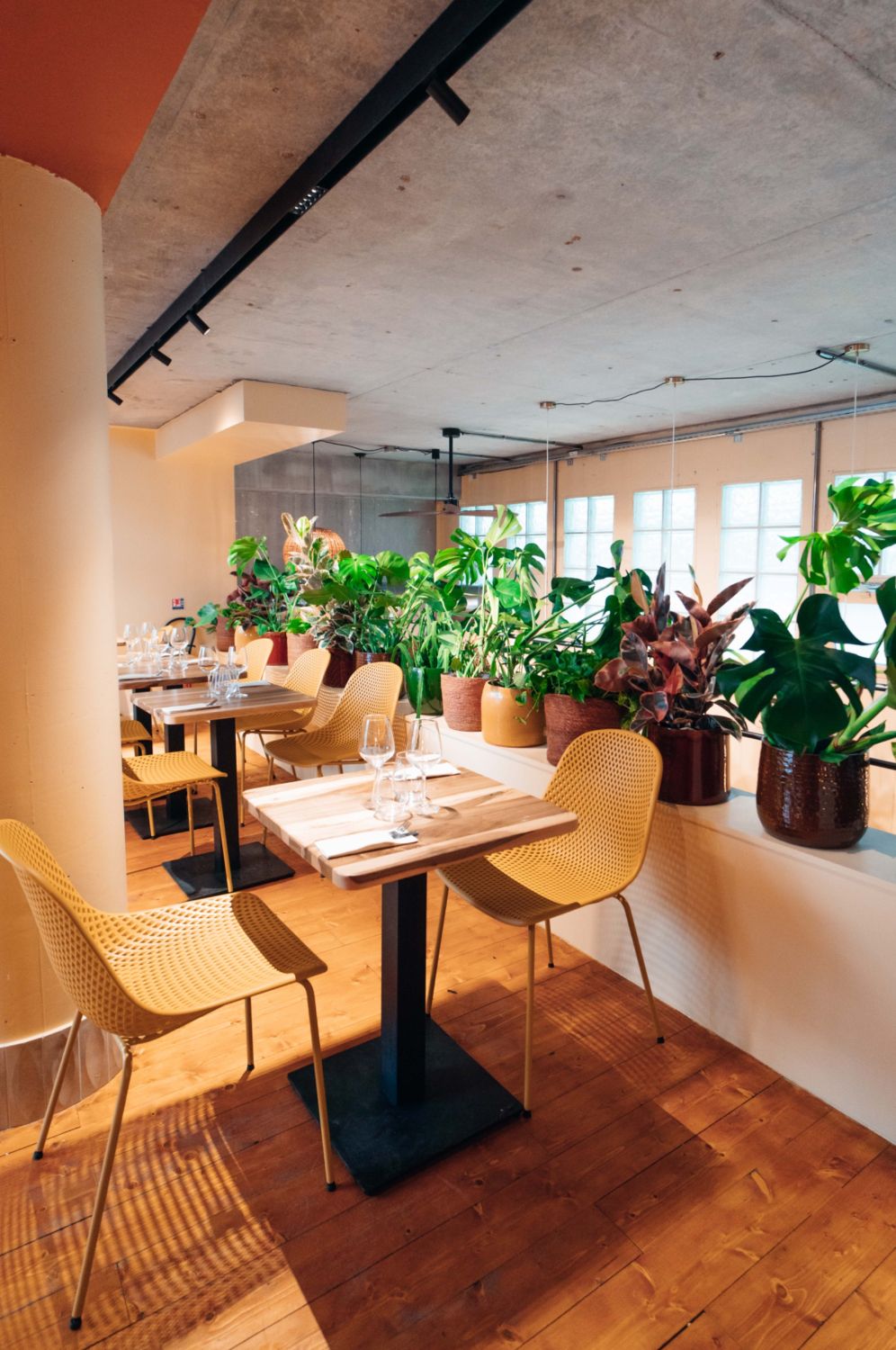 Restaurant Bistronomique Dynamique à Paris avec Cuisine Ouverte et Touche Artistique