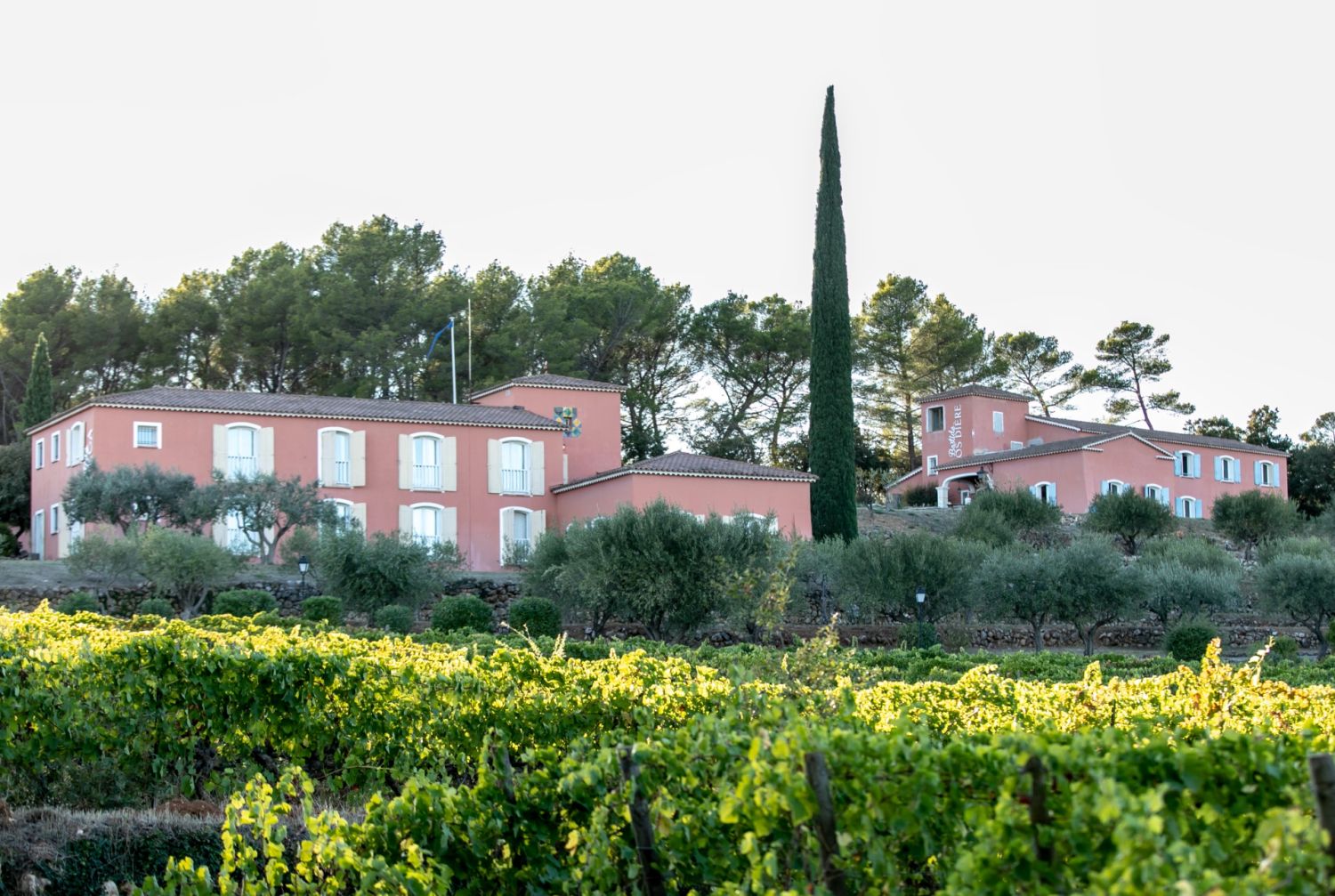 Vineyard, Hotel, Restaurant, Conference room