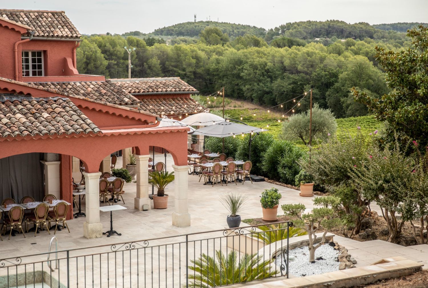 Vineyard, Hotel, Restaurant, Conference room