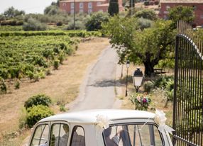 Vineyard, Hotel, Restaurant, Conference room