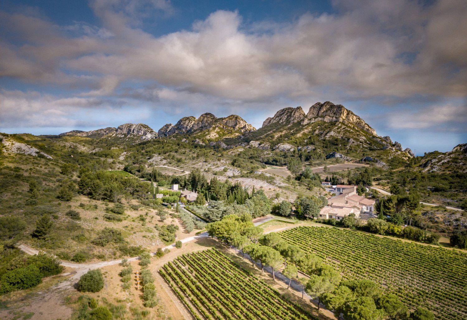 Domaine au cœur des vignes et des oliviers