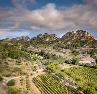 Estate in the heart of vineyards and olive trees