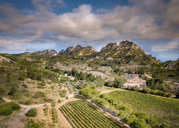 Estate in the heart of vineyards and olive trees