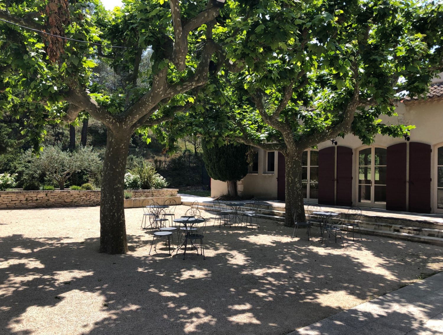 Domaine au cœur des vignes et des oliviers