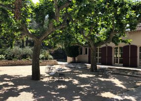 Estate in the heart of vineyards and olive trees