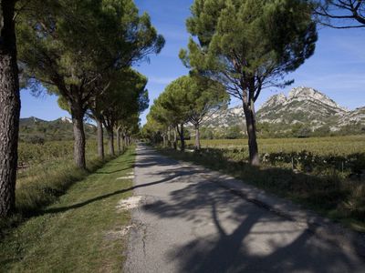 Domaine au cœur des vignes et des oliviers