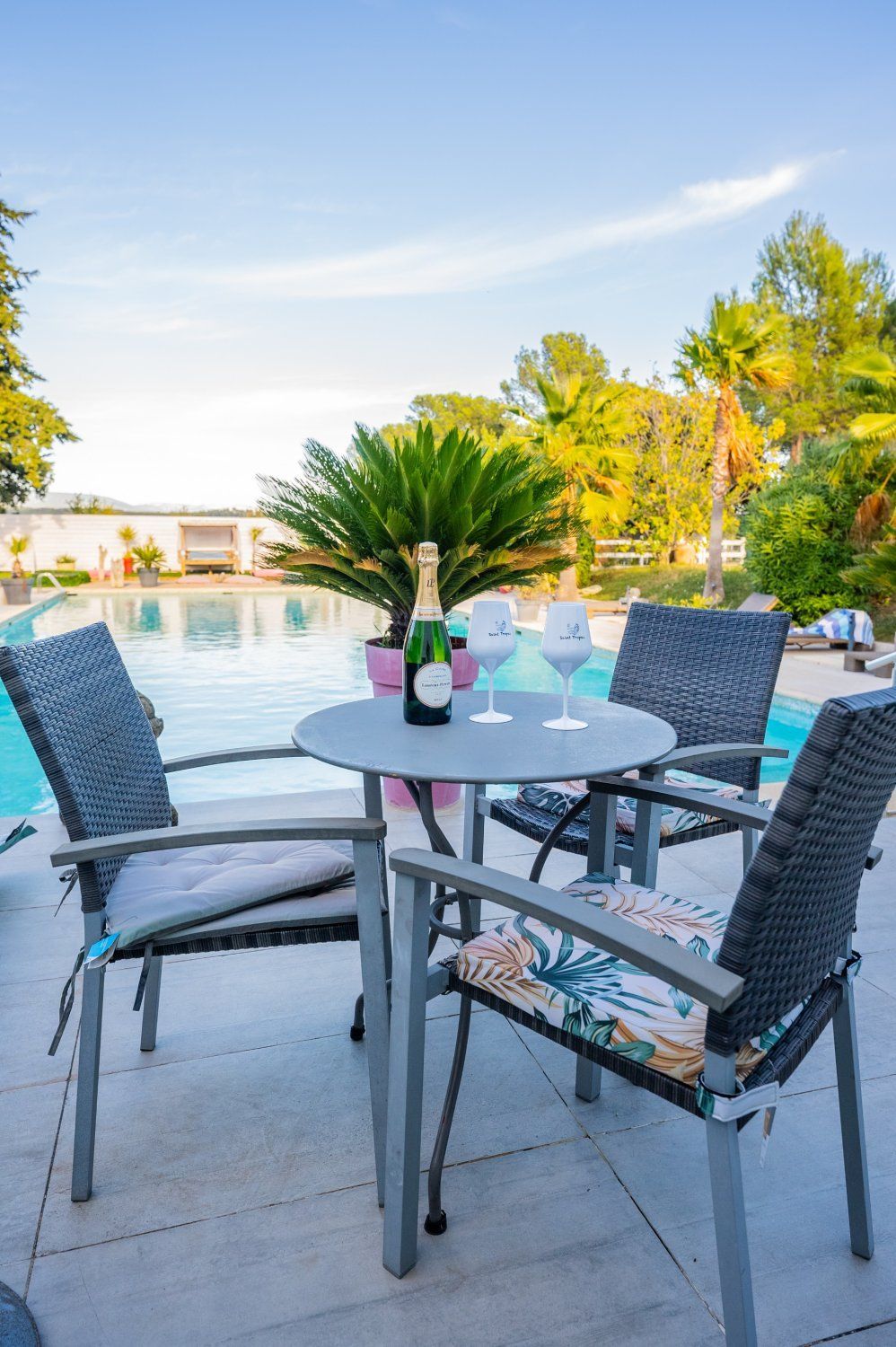 Magnifique domaine privatif au cœur de la Provence