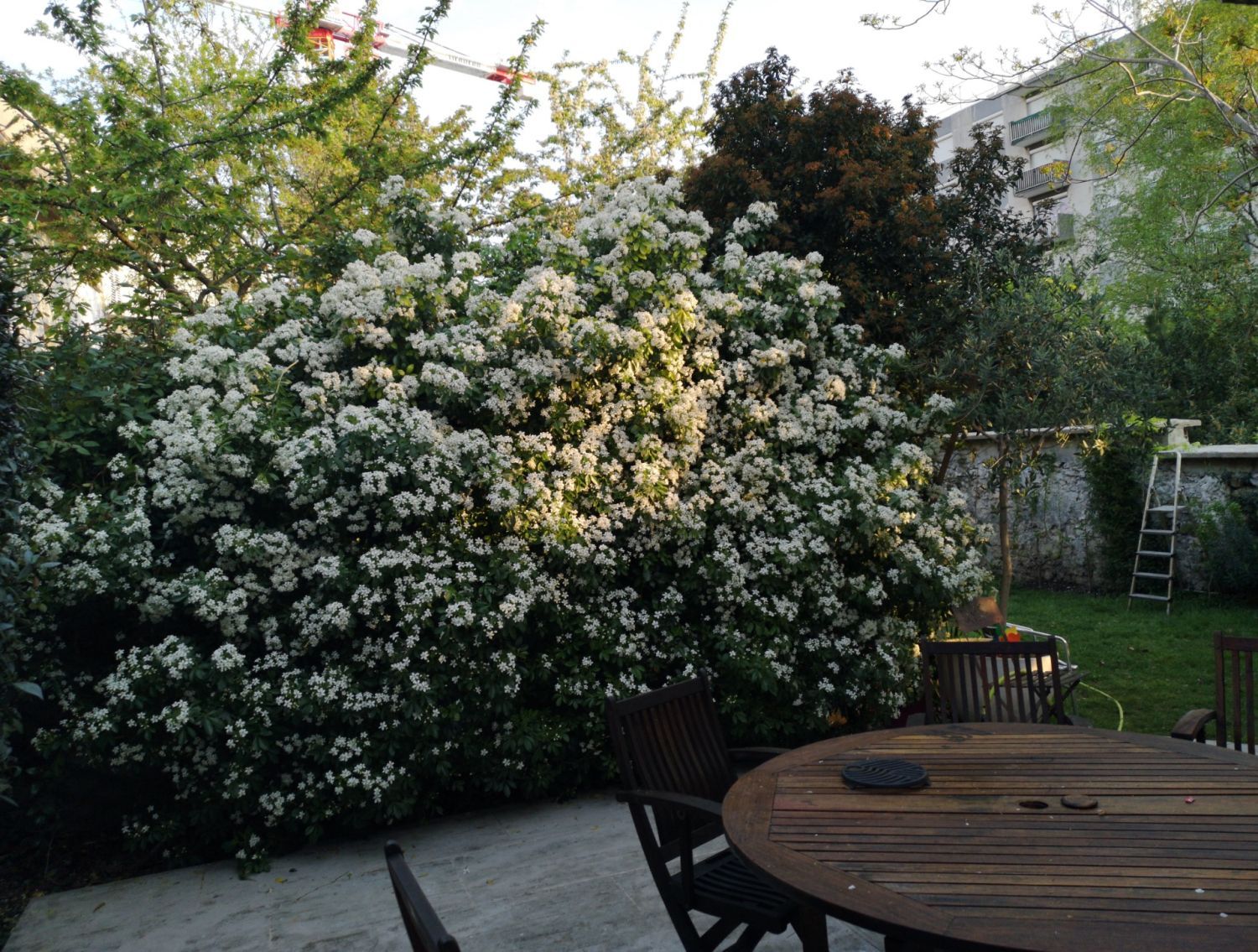 Single storey house with garden in the center of Montreuil 