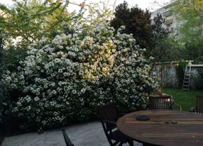 Single storey house with garden in the center of Montreuil 