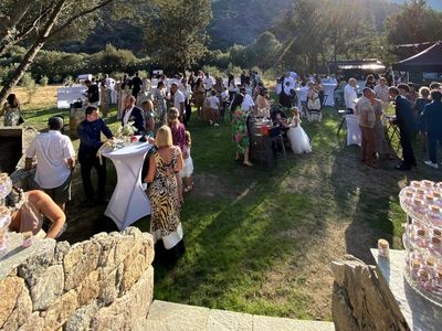 Authentic domain for receptions