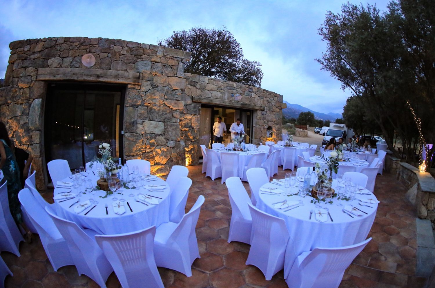 Authentic domain for receptions