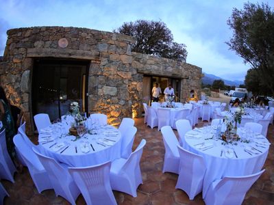 Authentic domain for receptions