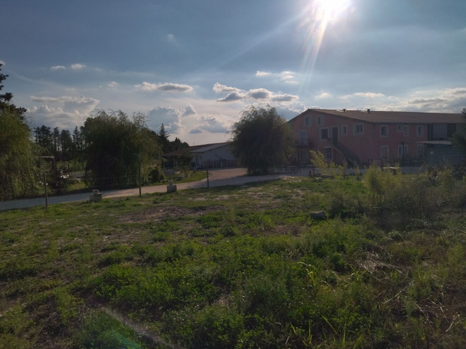 Stable near Avignon