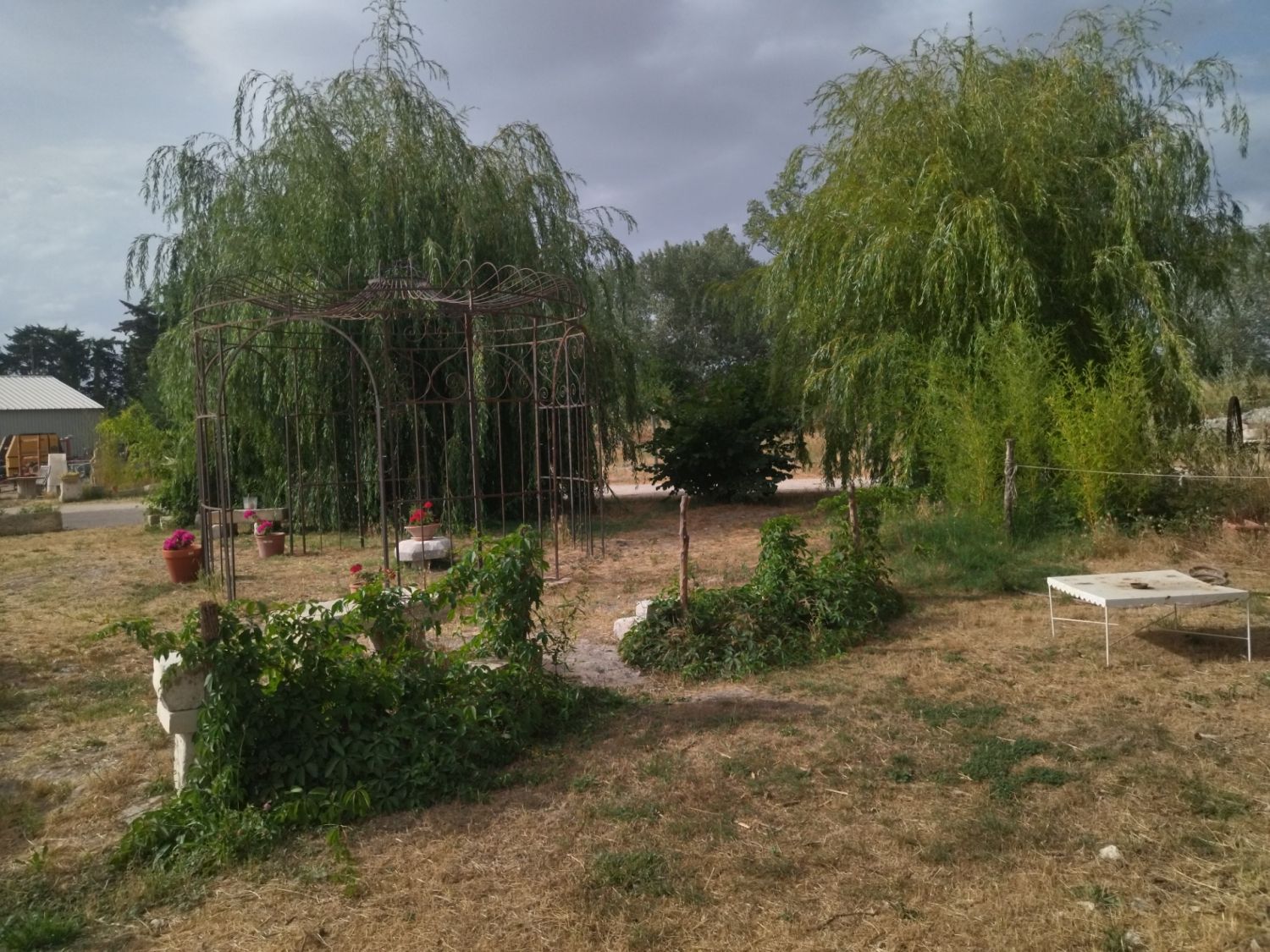 Stable near Avignon