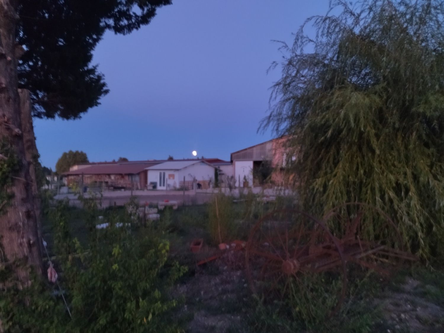 Stable near Avignon