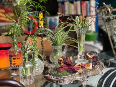 Bohemian Parisian Venue with Glass Roof & Green Courtyard