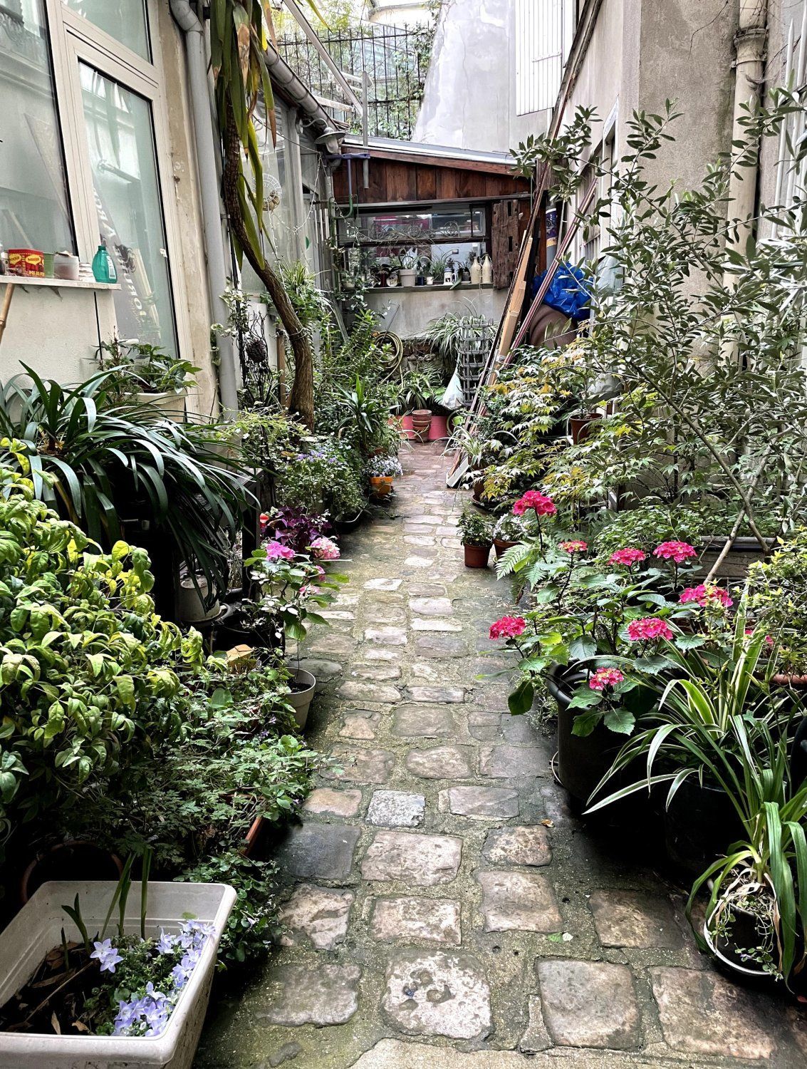 Lieu Parisien Bohème avec Verrière et Cour Verte