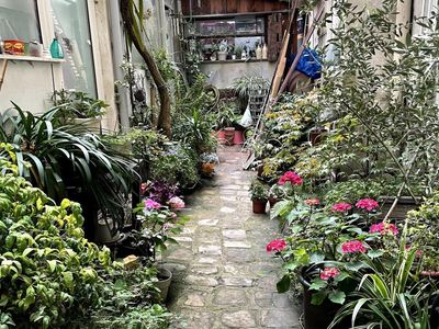 Bohemian Parisian Venue with Glass Roof & Green Courtyard