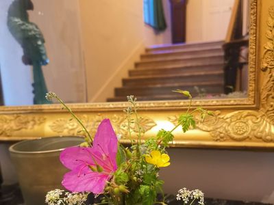 Charming house with vineyard and secret garden