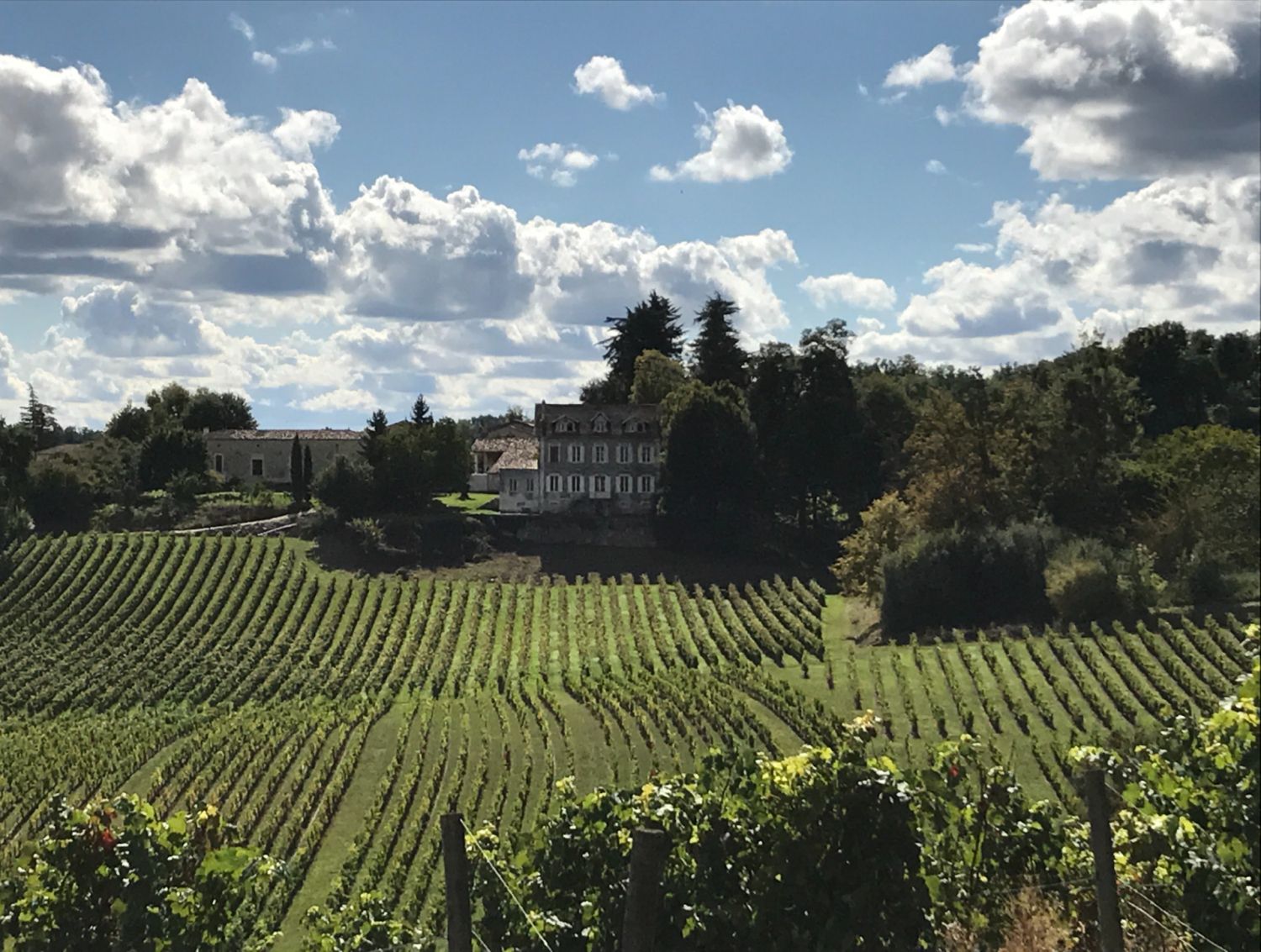 Gironde stone house in the heart of a hilly vineyard